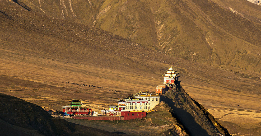 The mysterious Tibetan god of wealth — Drashi Lhamo, unlocks the code to fortune