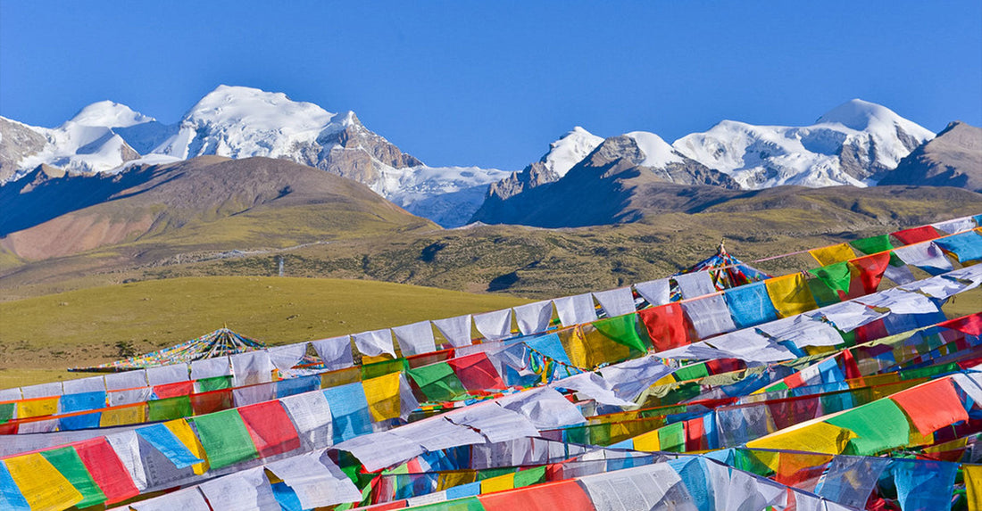 Tibetan Skeleton Dance: The Ritual of Death and Awakening